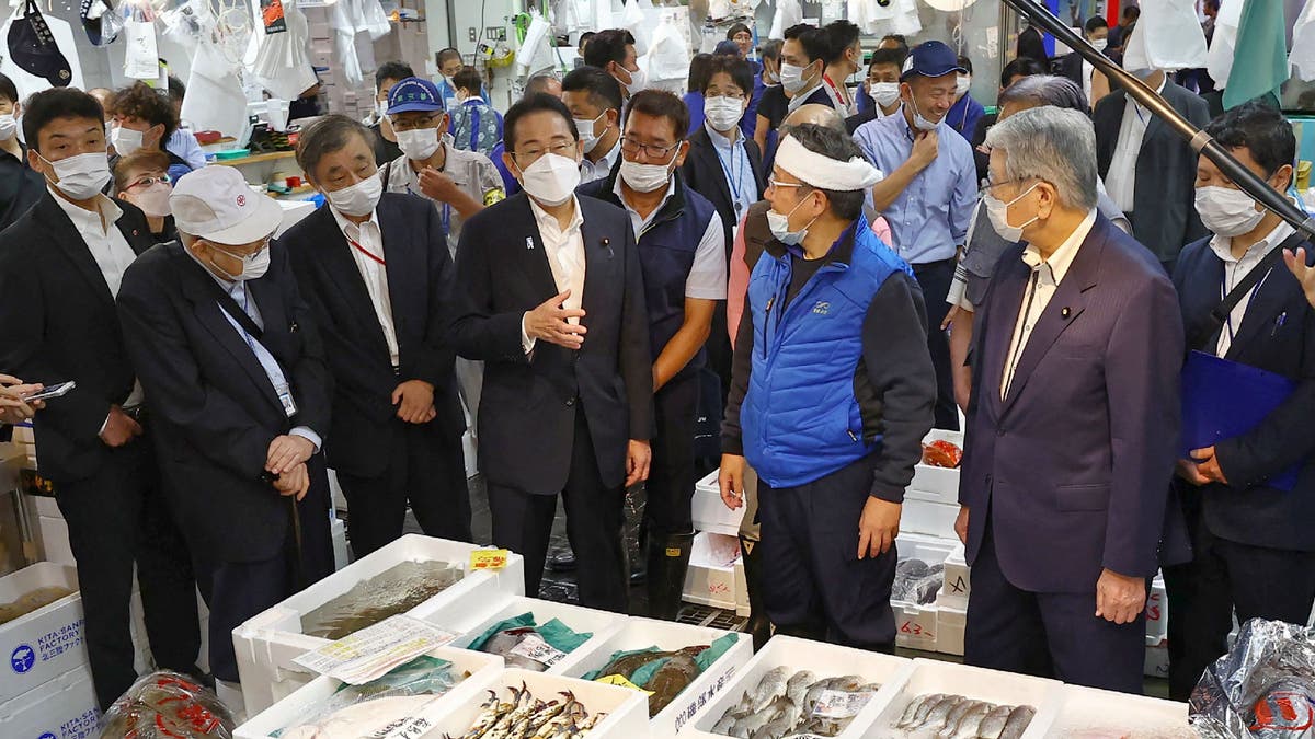 Fish protests japan