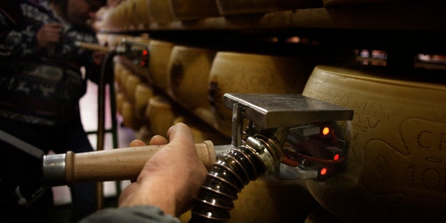 workers in cheese warehouse