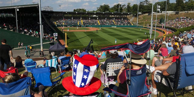 Fans watch the LLWS