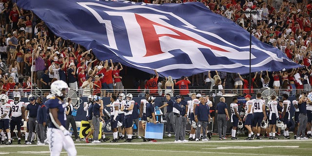 The Arizona Wildcats flag