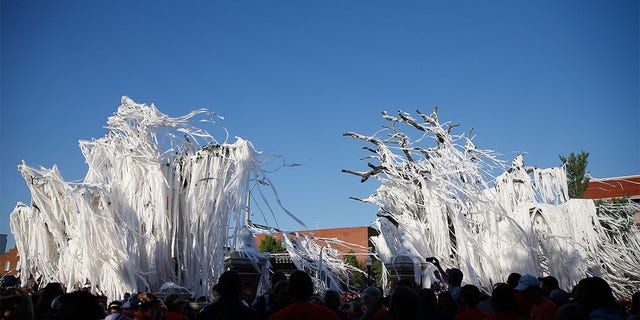 The oaks at Toomer's Corner