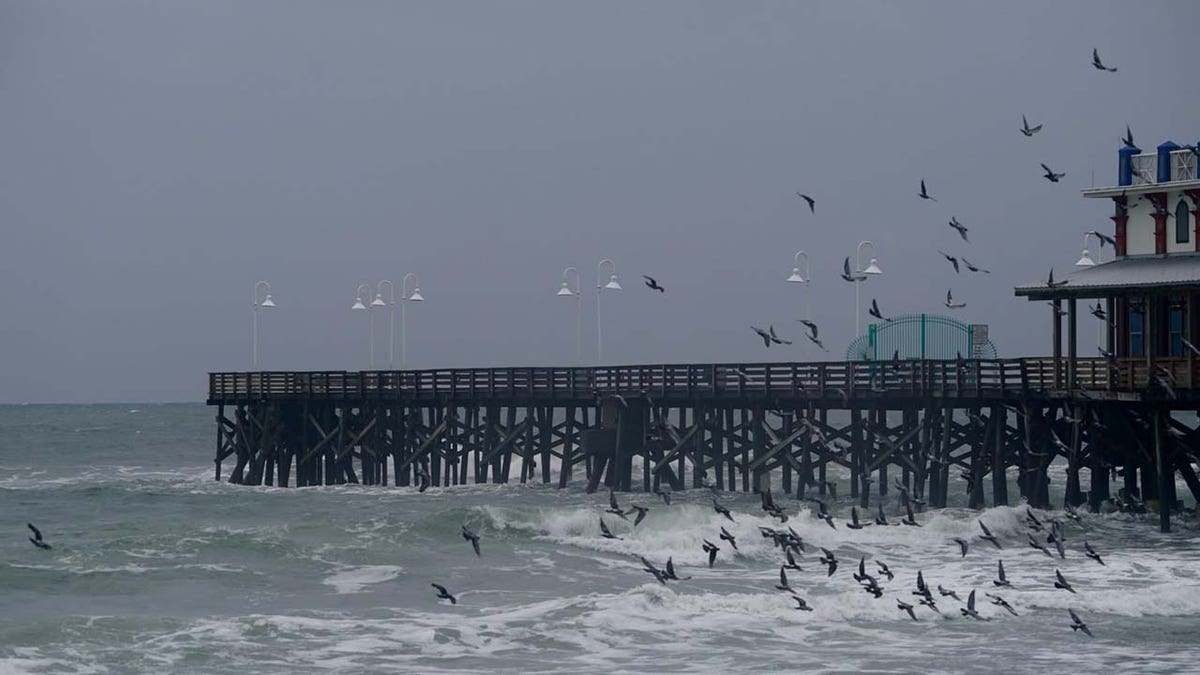 Hurricane-Idalia-Florida