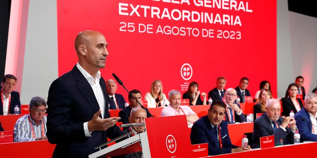 Luis Rubiales talks to crowd