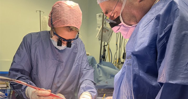 Woman donates her womb to sister in first-ever U.K. transplant