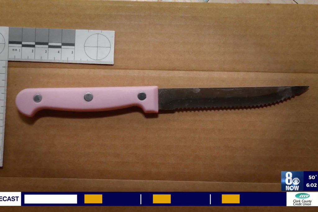 The kitchen knife used in the attack