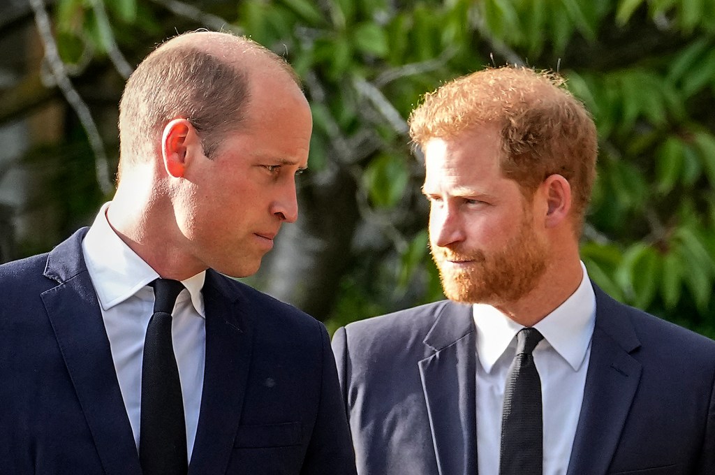 Photo of Prince harry and Prince William. 