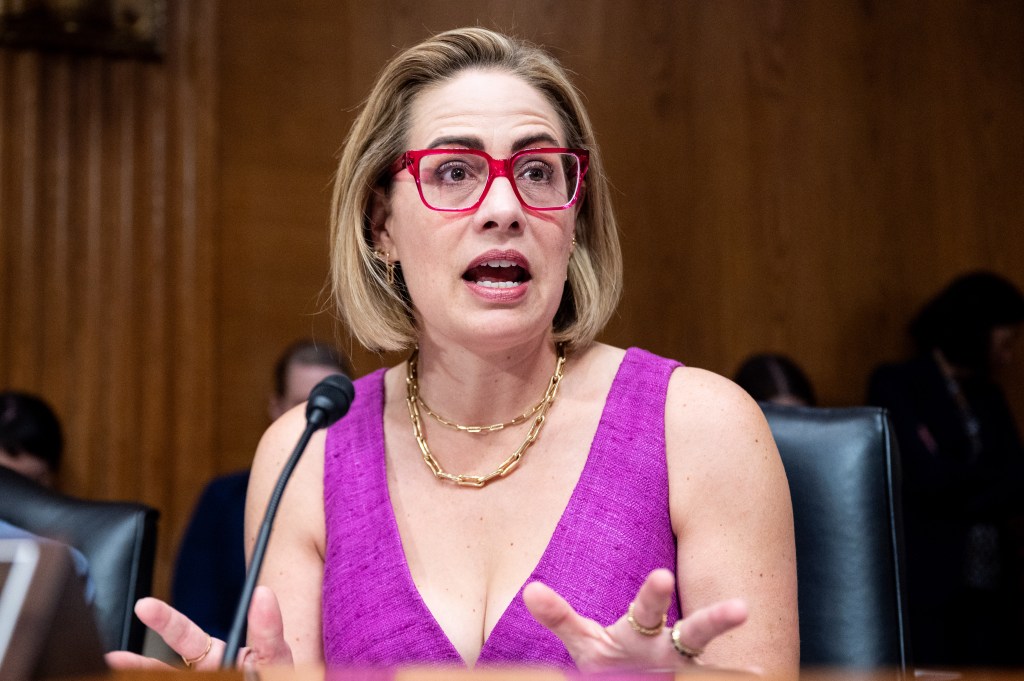 "We’ve paid the price for the federal government’s failure to fix our broken immigration system for most of my lifetime," said US Senator Kyrsten Sinema in May of Biden's border policies.