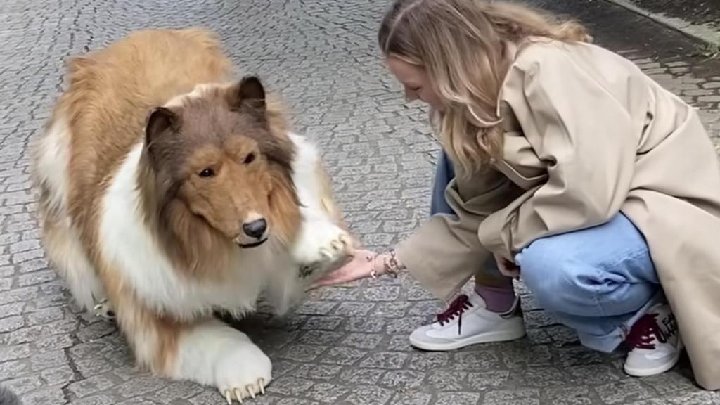 Toco in a realistic rough collie costume placing his paw on a woman's hand.