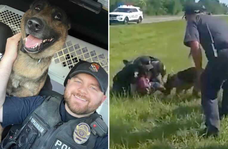 Fired Ohio K-9 officer who unleashed dog on truck driver kept ‘crying’