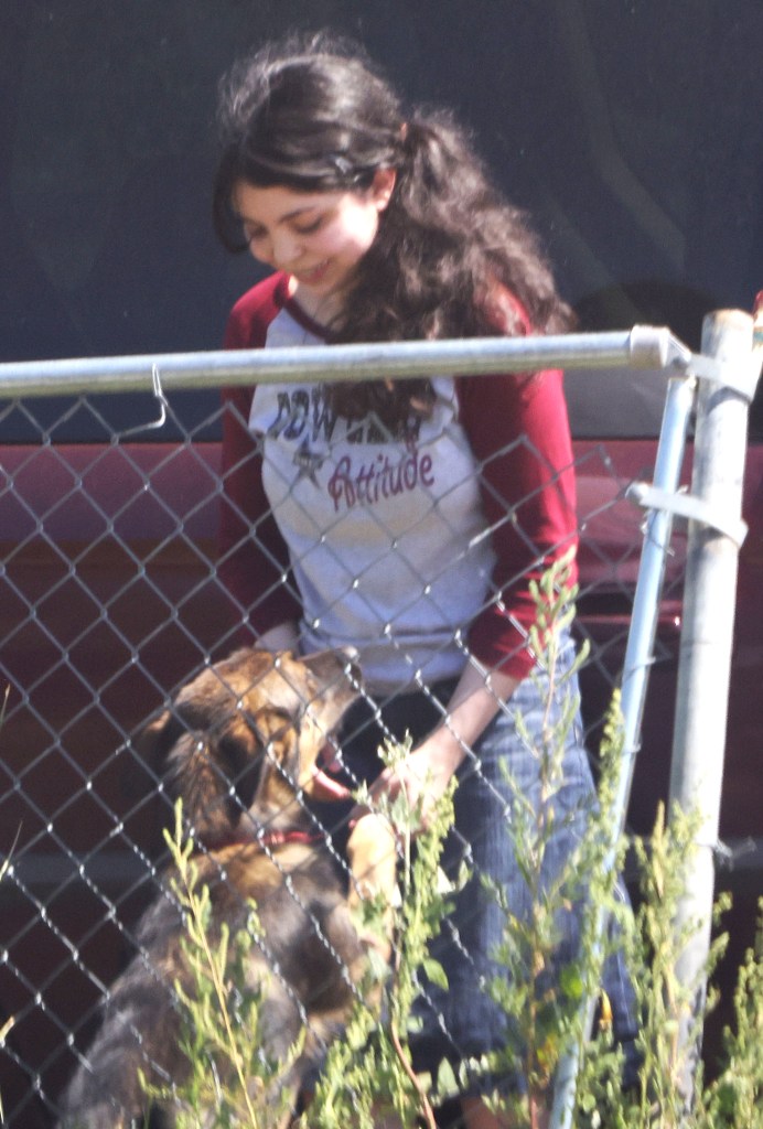 Navarro is seen playing with a dog while moving personal belongings in Montana.