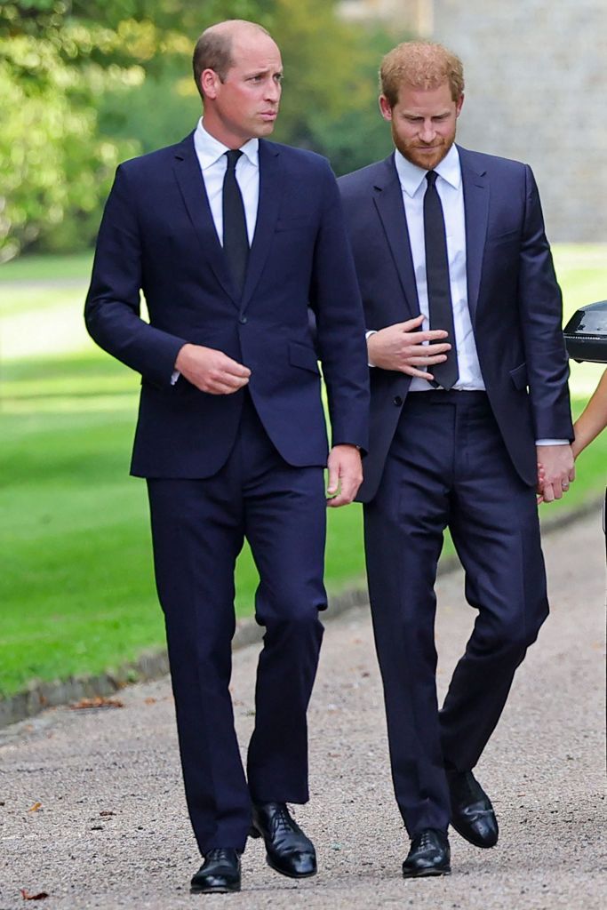 Picture of Prince harry and Prince William walking together. 