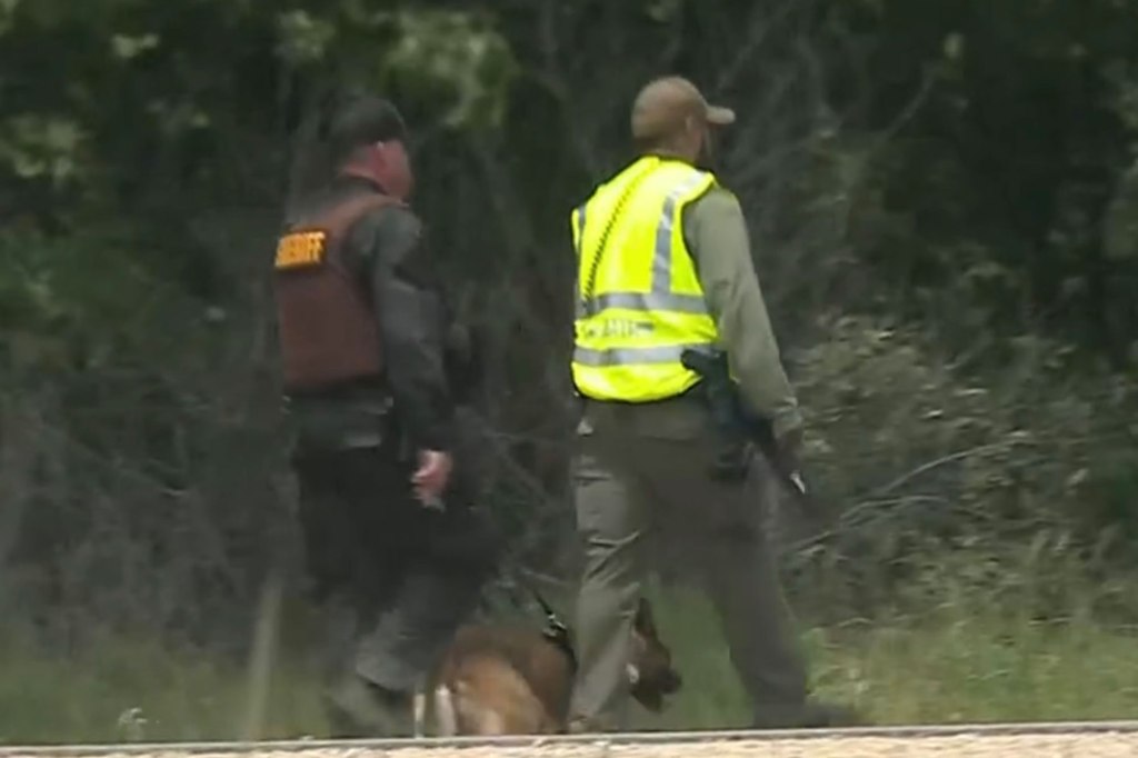 Sheriff deputies and a police dog walk along the edge of a wooded area. 