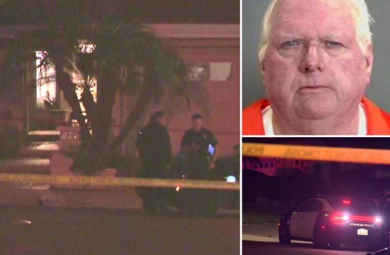 Judge arrested after wife shot dead in their California home