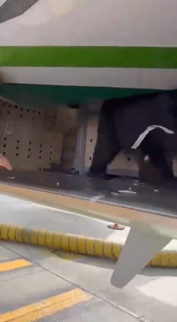 Screenshot from a video shows the bear in the cargo hold