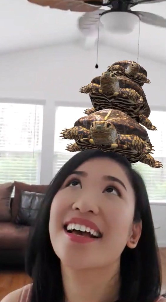 Cyrene Quiamco, also known as CyreneQ, with a turtle filter.
