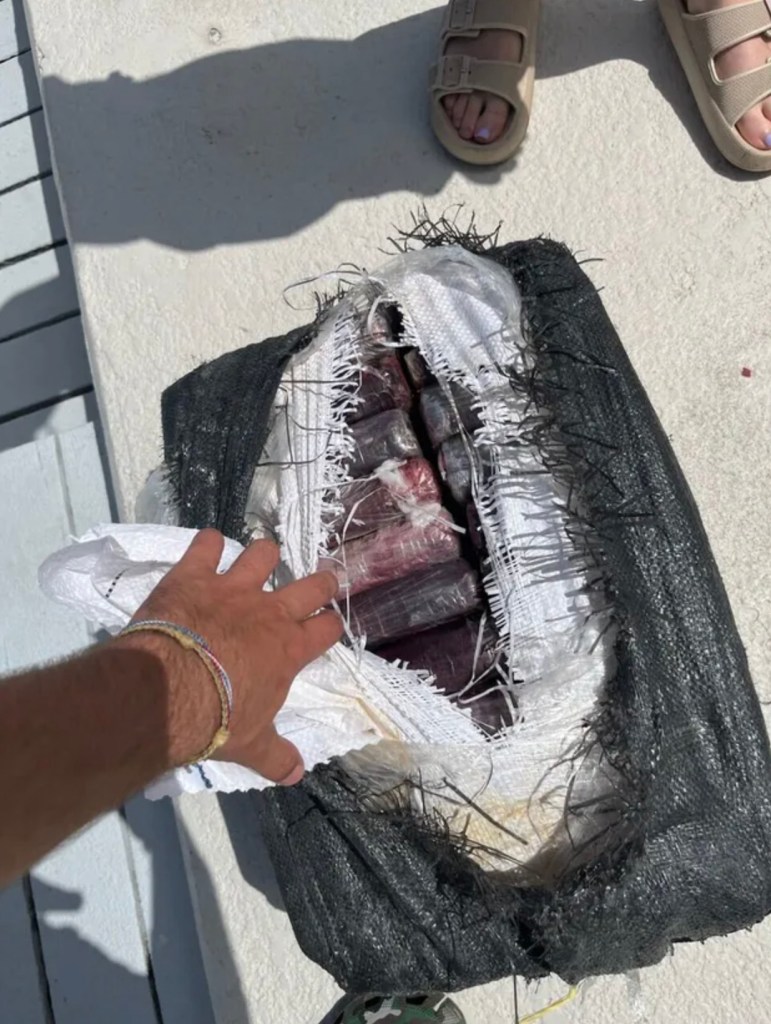 Tampa Mayor Jane Castor caught $1.1 million worth of cocaine while on a fishing trip in the Florida Keys in late July 2023.