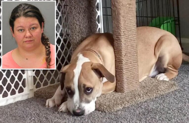 Woman charged with performing sex act on her dog after ex-boyfriend finds disturbing footage