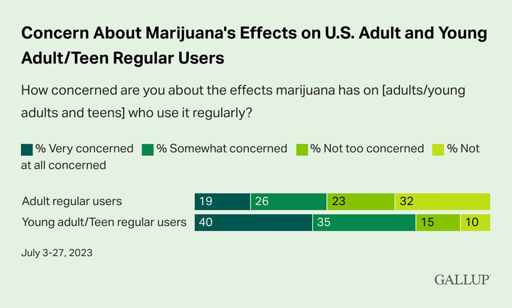 A majority of Americans reported not being too concerned about health effects of using marijuana.
