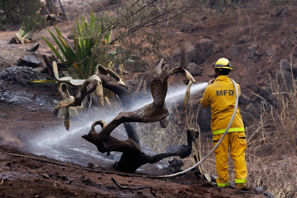 The Maui Fire Department continued to combat the fires as best they could, but could not contain the raging flames. 