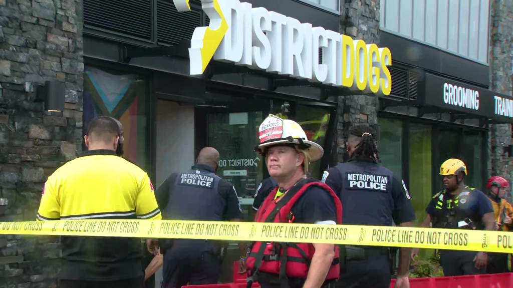 Fire crews had to rescue staff and pets at a doggy day care in D.C. Monday.