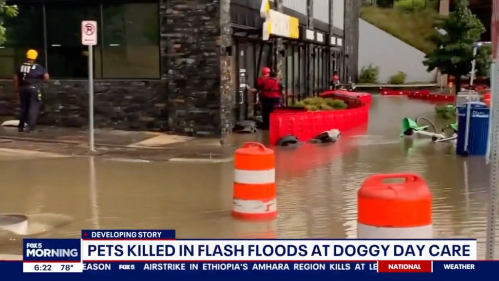 Fire crews had to rescue staff and pets at a doggy day care in D.C. Monday.