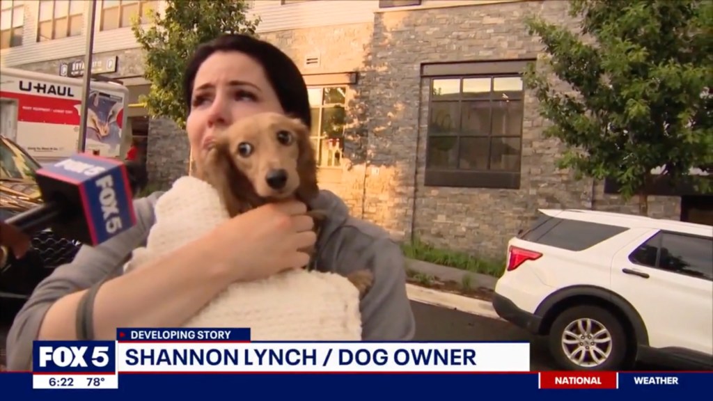 Fire crews had to rescue staff and pets at a doggy day care in D.C. Monday.