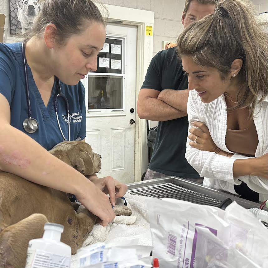 This photo provided by Maui Humane Society shows owner and pup being reunited. 