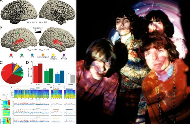 Scientists reconstruct Pink Floyd song from brain signals