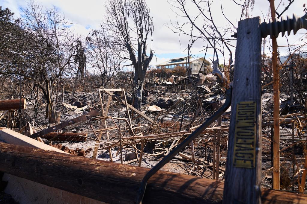 Devastation in Lahaina, Hawaii