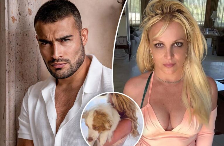 Britney Spears refusing to let Sam Asghari keep dogs amid divorce