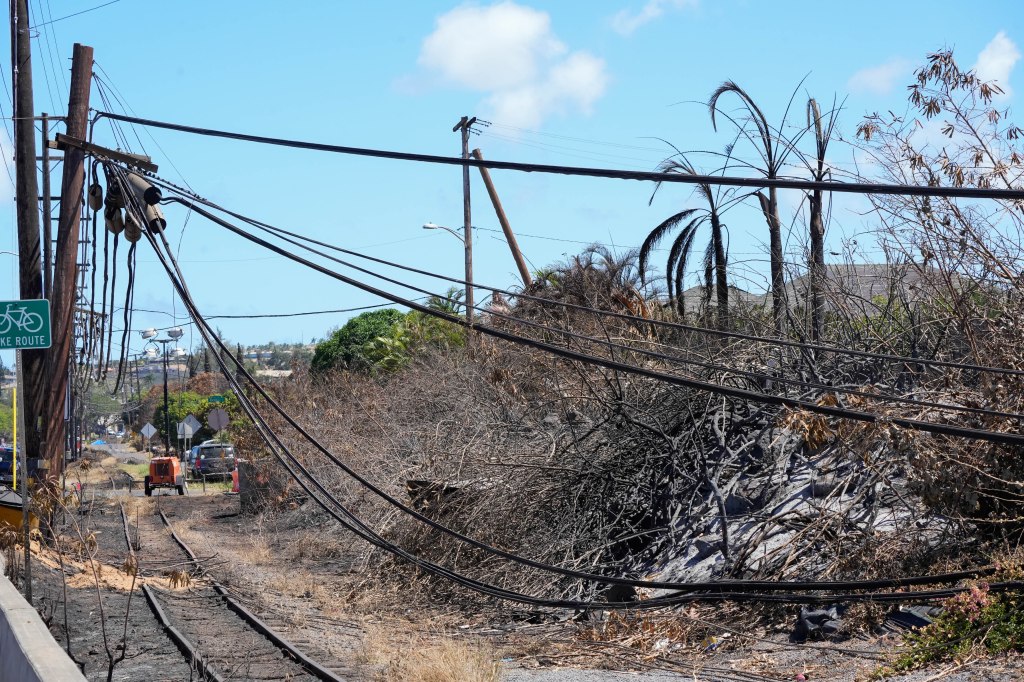 Downed power lines after the wildfires.