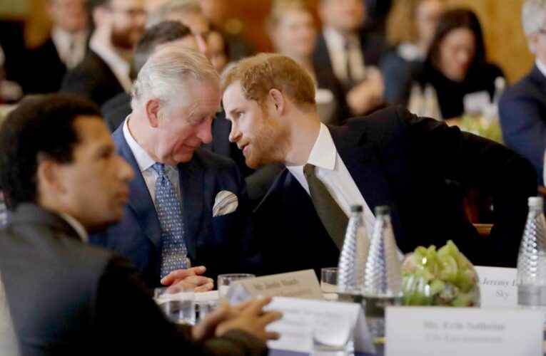 Prince Harry, King Charles ‘peace talks’ a publicity stunt: expert