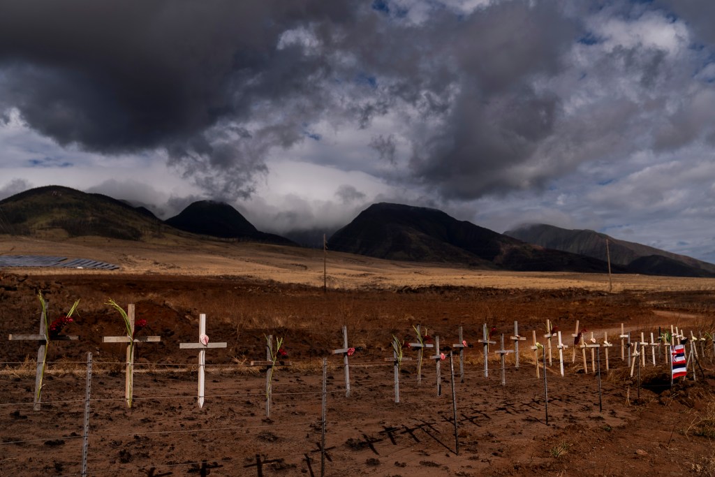 Crosses honoring victims killed in a recent wildfire are posted along the Lahaina Bypass.