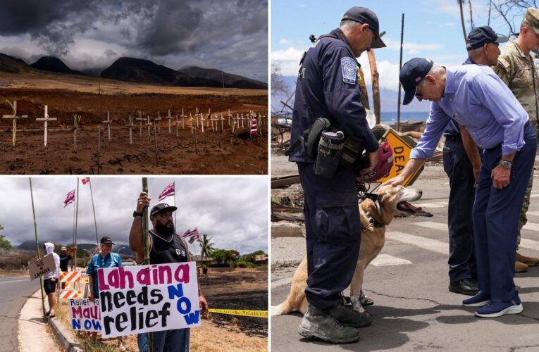 Biden faces backlash for dog boot joke in Maui: ‘Hot ground’