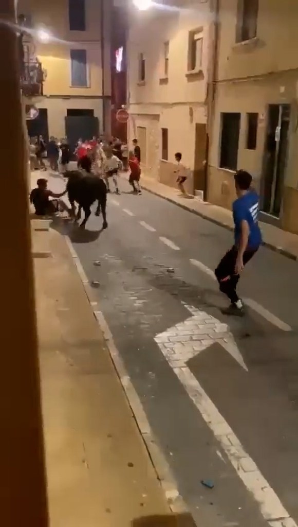 Bull attacking young man