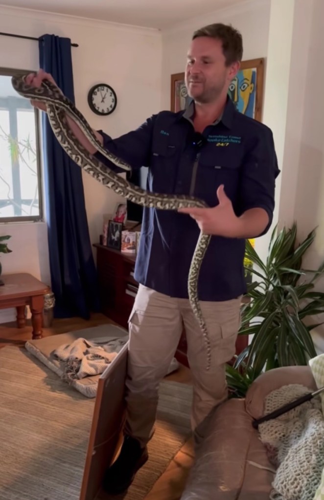 A group of people was shaken up after finding a snake lurking behind a photo frame in their living room.
