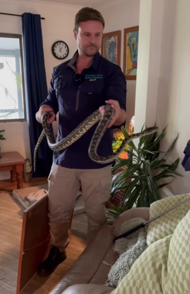 Dan handled the snake, placing it into a snake net to be relocated to a safer environment.