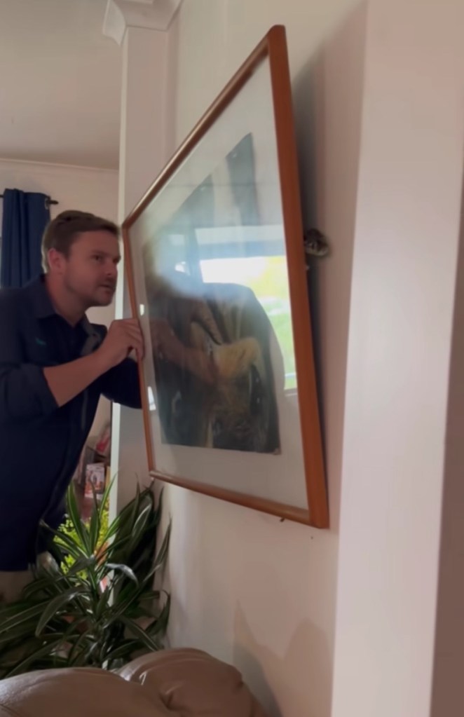 Video from the Sunshine Coast Snake Catchers showed the artwork tilted away from the wall. 
