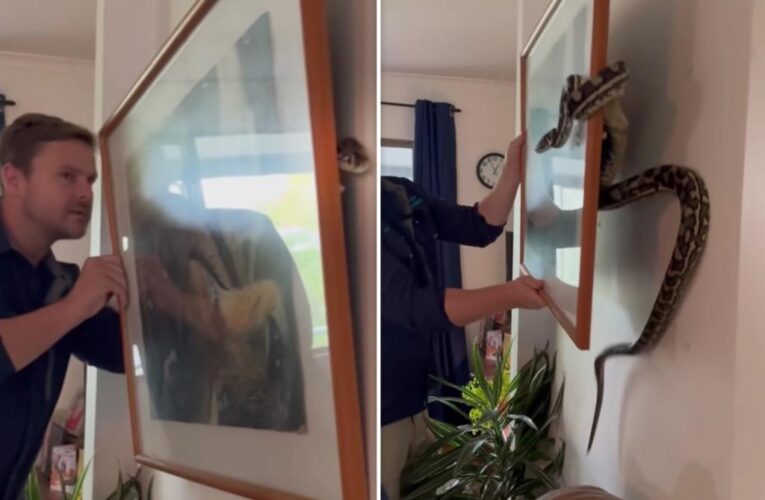 Homeowner makes creepy discovery behind artwork hanging on her wall