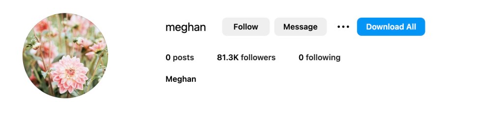 Meghan Markle's alleged instagram