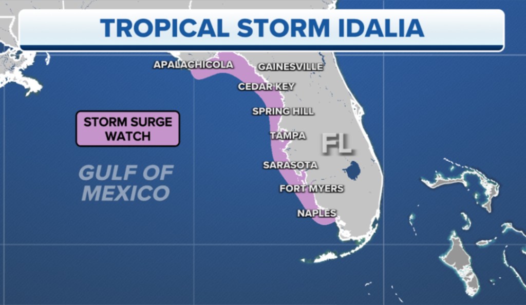 Storm Surge Alerts for Idalia