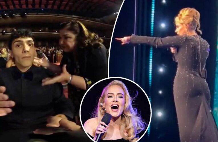 Adele stops show to tell security to leave fan alone: video