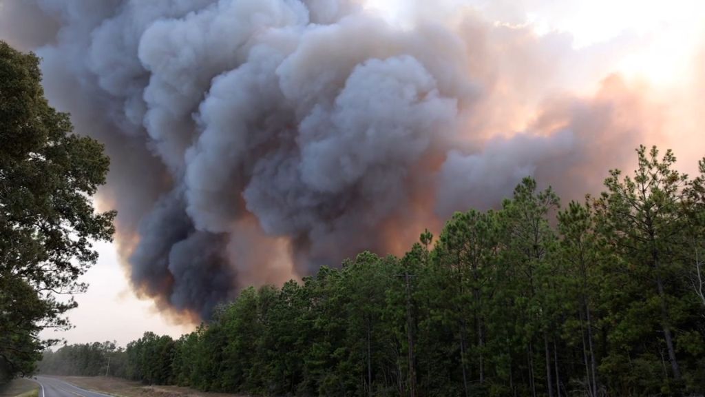 Smoke is seen emanating from a wildfire in Louisiana.