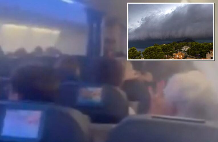 Wild video captures passengers screaming during rocky flight