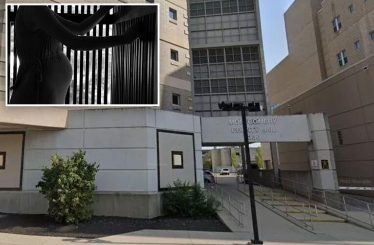 Inmate forced to give birth alone inside Tennessee jail cell