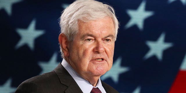 Former House Speaker Newt Gingrich