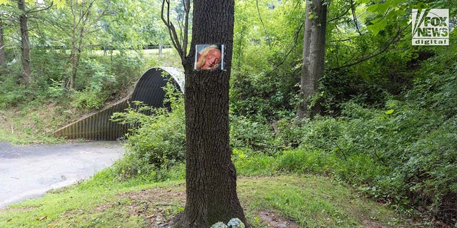 A photo of Rachel Morin is posted on a tree along a hiking route