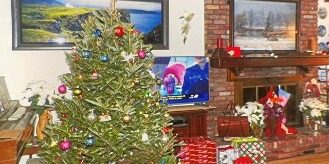 A christmas tree in Rex Heuermann's home 