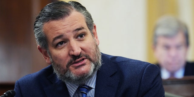 Ted Cruz during Senate Judiciary hearing on Jan. 6