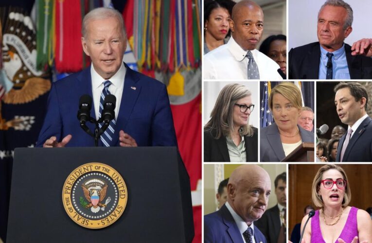 Seven prominent Democrats turn on Biden over soft border policies: ‘federal crisis of inaction’